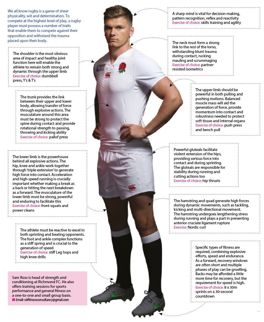 rugby-positions-body-types